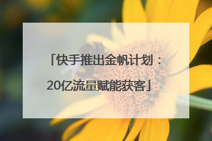 快手推出金帆计划：20亿流量赋能获客