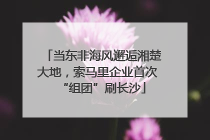 当东非海风邂逅湘楚大地，索马里企业首次“组团”刷长沙