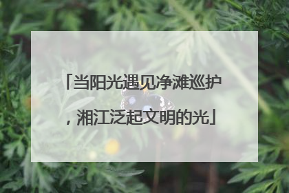 当阳光遇见净滩巡护，湘江泛起文明的光