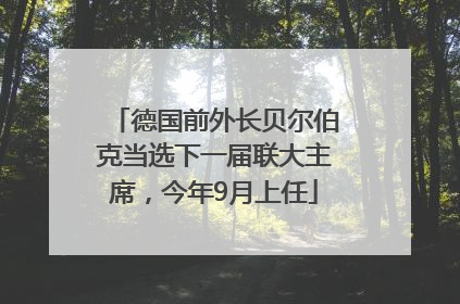 德国前外长贝尔伯克当选下一届联大主席，今年9月上任