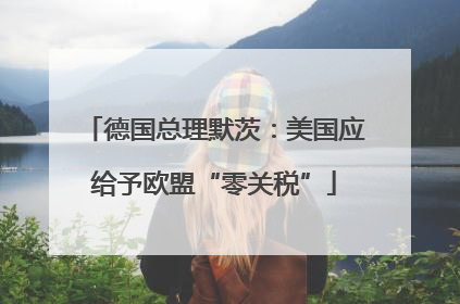 德国总理默茨：美国应给予欧盟“零关税”