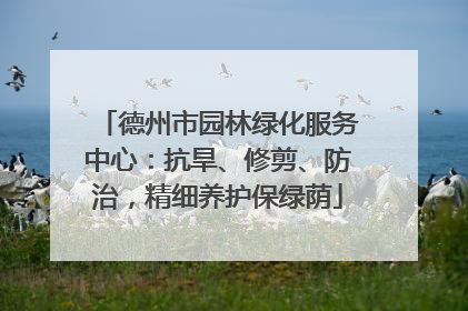 德州市园林绿化服务中心：抗旱、修剪、防治，精细养护保绿荫