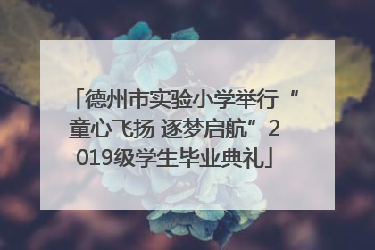 德州市实验小学举行“童心飞扬 逐梦启航”2019级学生毕业典礼