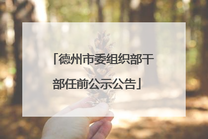 德州市委组织部干部任前公示公告