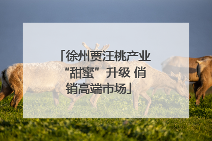 徐州贾汪桃产业“甜蜜”升级 俏销高端市场