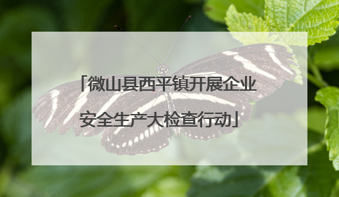 微山县西平镇开展企业安全生产大检查行动