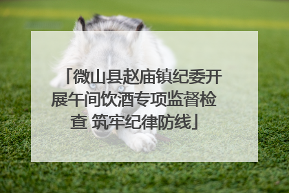 微山县赵庙镇纪委开展午间饮酒专项监督检查 筑牢纪律防线