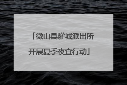 微山县驩城派出所开展夏季夜查行动