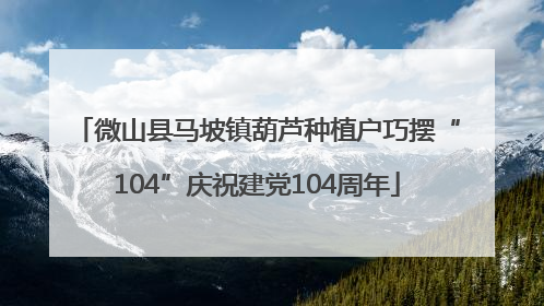 微山县马坡镇葫芦种植户巧摆“104”庆祝建党104周年