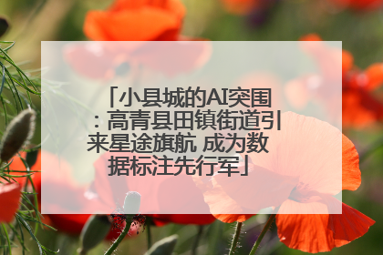 小县城的AI突围：高青县田镇街道引来星途旗航 成为数据标注先行军