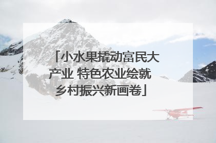 小水果撬动富民大产业 特色农业绘就乡村振兴新画卷