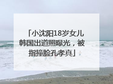 小沈阳18岁女儿韩国出道照曝光，被指撞脸孔孝真