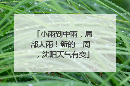 小雨到中雨，局部大雨！新的一周，沈阳天气有变