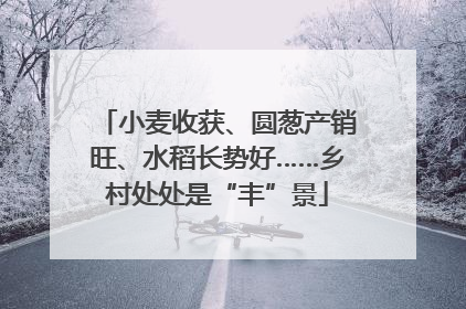 小麦收获、圆葱产销旺、水稻长势好……乡村处处是“丰”景