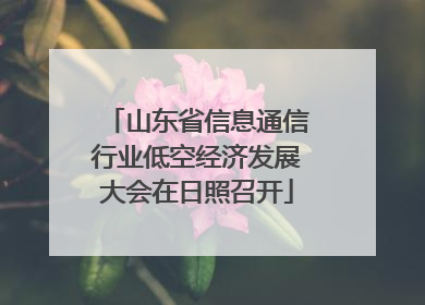 山东省信息通信行业低空经济发展大会在日照召开