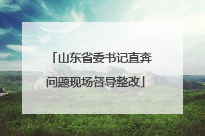 山东省委书记直奔问题现场督导整改