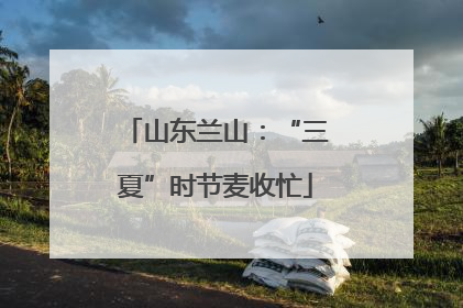 山东兰山：“三夏”时节麦收忙