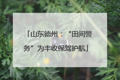 山东德州：“田间警务”为丰收保驾护航