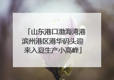 山东港口渤海湾港滨州港区港华码头迎来入夏生产小高峰