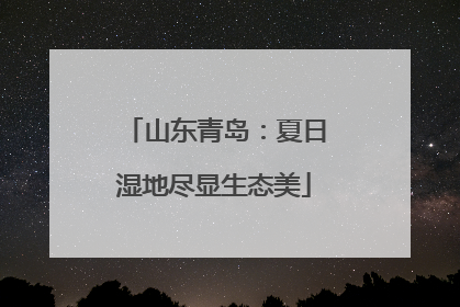 山东青岛：夏日湿地尽显生态美