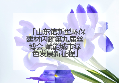 山东馆新型环保建材闪耀第九届丝博会 赋能城市绿色发展新征程