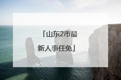 山东2市最新人事任免