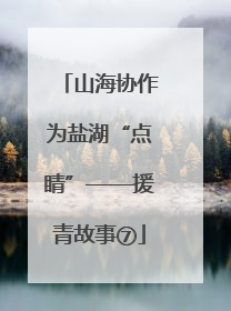 山海协作为盐湖“点睛”——援青故事⑦