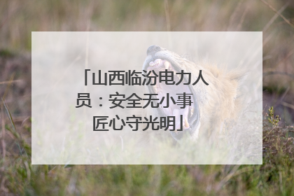 山西临汾电力人员：安全无小事 匠心守光明