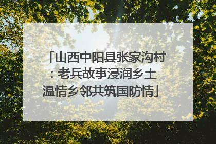 山西中阳县张家沟村：老兵故事浸润乡土 温情乡邻共筑国防情