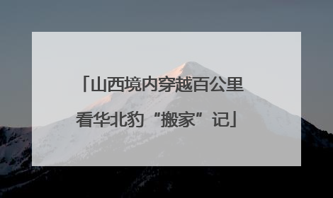 山西境内穿越百公里 看华北豹“搬家”记