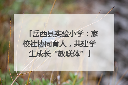 岳西县实验小学：家校社协同育人，共建学生成长“教联体”