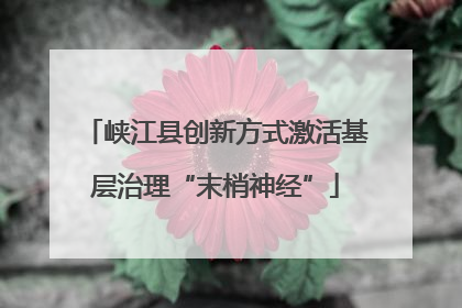 峡江县创新方式激活基层治理“末梢神经”