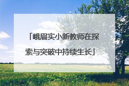 峨眉实小新教师在探索与突破中持续生长