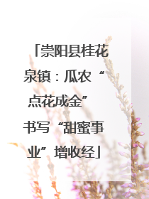 崇阳县桂花泉镇：瓜农“点花成金” 书写“甜蜜事业”增收经