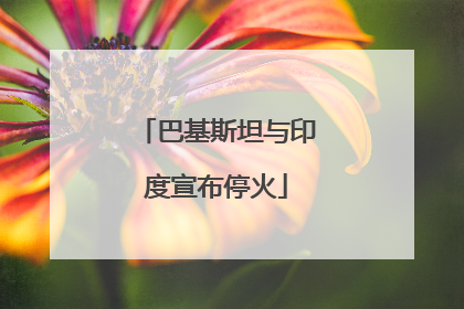 巴基斯坦与印度宣布停火