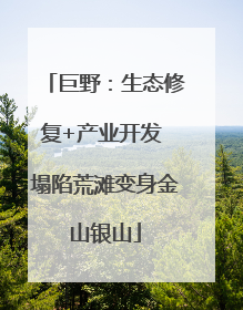 巨野：生态修复+产业开发 塌陷荒滩变身金山银山