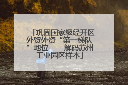 巩固国家级经开区外贸外资“第一梯队”地位——解码苏州工业园区样本