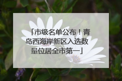 市级名单公布！青岛西海岸新区入选数量位居全市第一