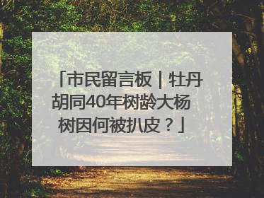市民留言板｜牡丹胡同40年树龄大杨树因何被扒皮？