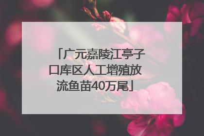 广元嘉陵江亭子口库区人工增殖放流鱼苗40万尾