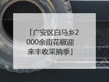 广安区白马乡2000余亩花椒迎来丰收采摘季