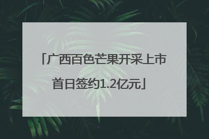 广西百色芒果开采上市 首日签约1.2亿元