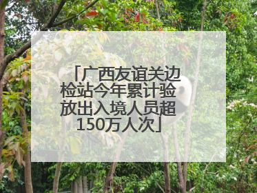 广西友谊关边检站今年累计验放出入境人员超150万人次