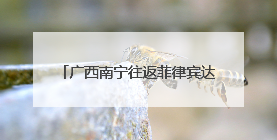 广西南宁往返菲律宾达沃国际货运航线开通