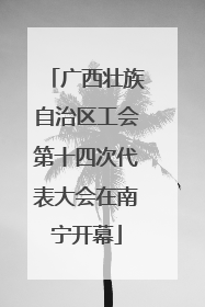 广西壮族自治区工会第十四次代表大会在南宁开幕