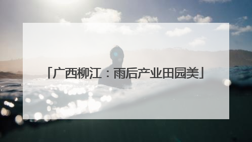 广西柳江：雨后产业田园美