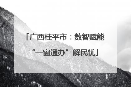 广西桂平市：数智赋能“一窗通办”解民忧