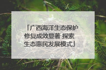 广西海洋生态保护修复成效显著 探索生态惠民发展模式