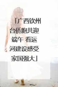 广西钦州台侨胞共迎端午 看运河建设感受家国强大