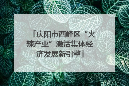 庆阳市西峰区“火辣产业”激活集体经济发展新引擎